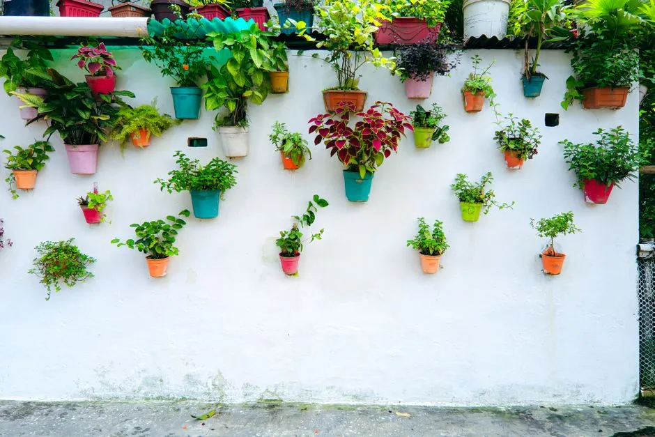 The Vertical Multiplier (Image Credits: Pexels)