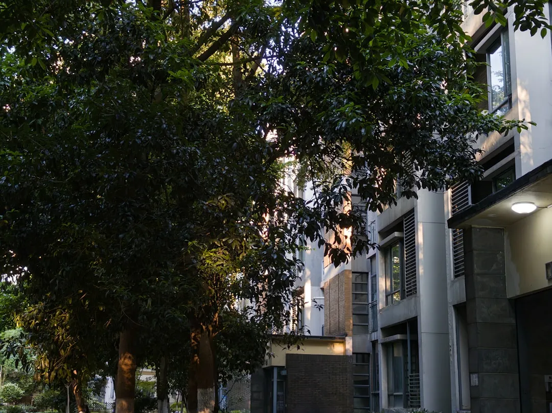 Street Trees: The Most Direct Line of Defense (Image Credits: Unsplash)