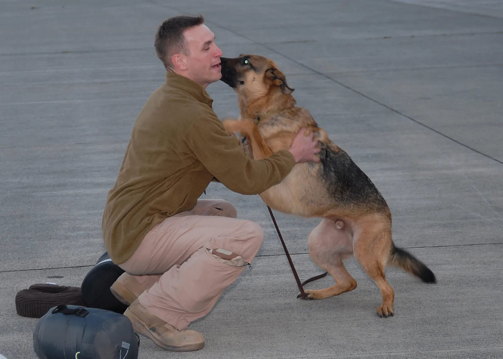 When to Call the Vet (This image was released by the United States Navy with the ID 091112-N-9860Y-006 (next).
This tag does not indicate the copyright status of the attached work. A normal copyright tag is still required. See Commons:Licensing.
العربية ∙ বাংলা ∙
Bahasa Indonesia ∙
Bahaso Jambi ∙
Deutsch ∙ Deutsch (Sie-Form) ∙ English ∙ español ∙ euskara ∙ فارسی ∙ français ∙ italiano ∙ 日本語 ∙ 한국어 ∙ македонски ∙ മലയാളം ∙ Plattdüütsch ∙ Nederlands ∙ polski ∙ پښتو ∙ português ∙ русский ∙ slovenščina ∙ svenska ∙ Türkçe ∙ українська ∙ 简体中文 ∙ 繁體中文 ∙ +/−, Public domain)
