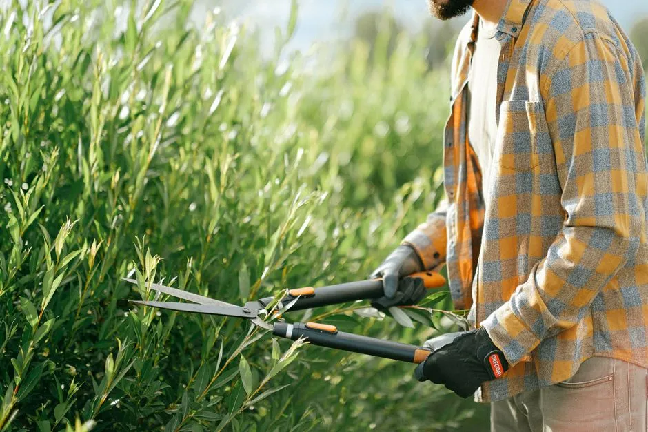 7. Spring-Loaded Hedge Shears (Image Credits: Pexels)