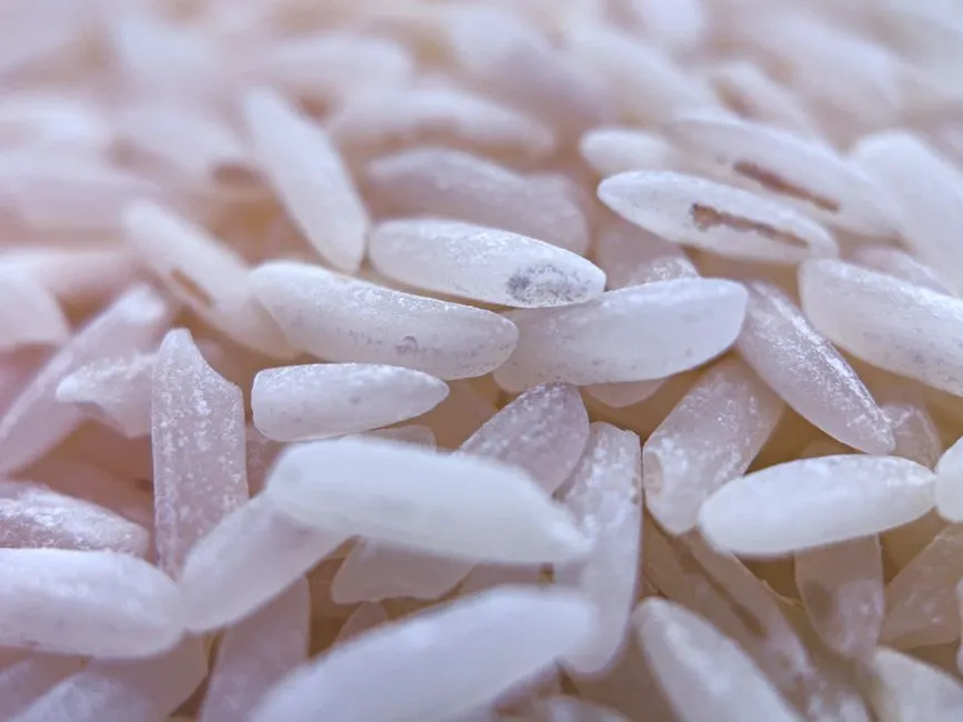 Arsenic in Rice: A Real Concern, With Complicated Answers (Image Credits: Pexels)