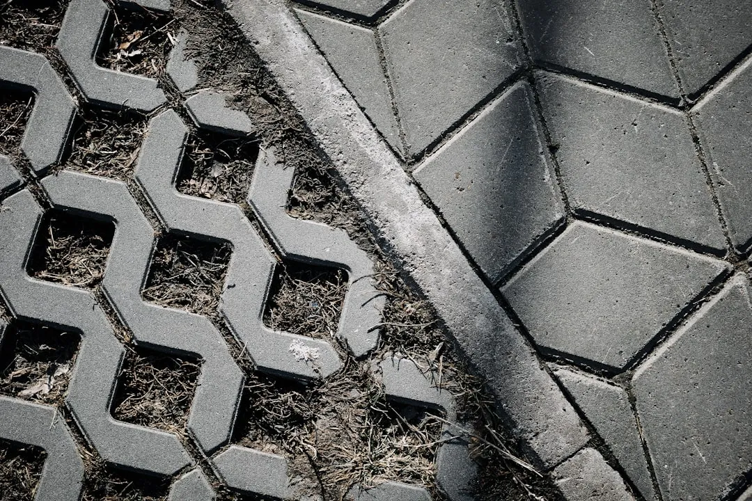 8. Replace or Reduce Turf With Smart Hardscape (Image Credits: Unsplash)