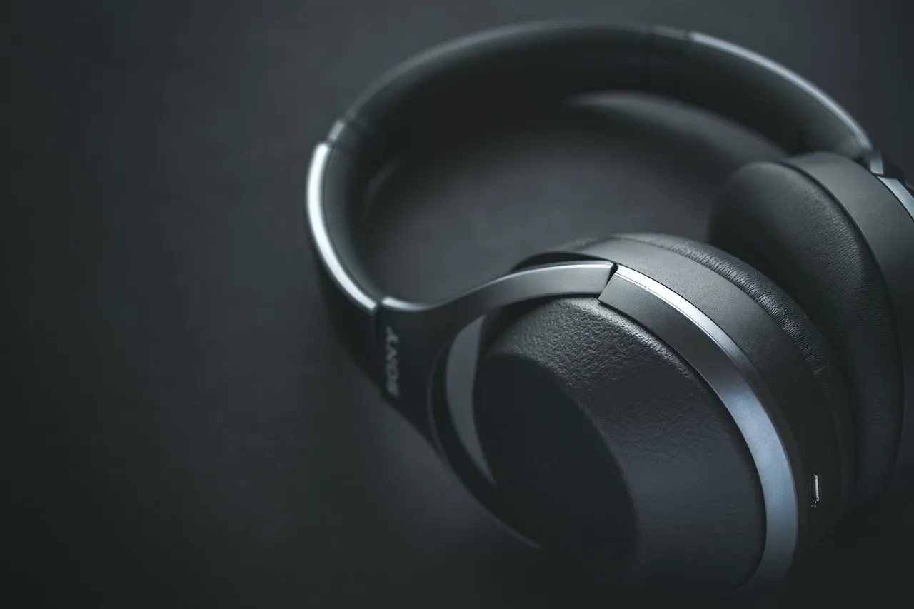 Auditory Deprivation: When the Brain Forgets How to Filter (Image Credits: Pixabay)