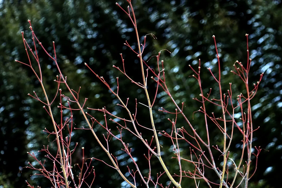 What "Partial Shade" Actually Means in the Garden (Image Credits: Unsplash)