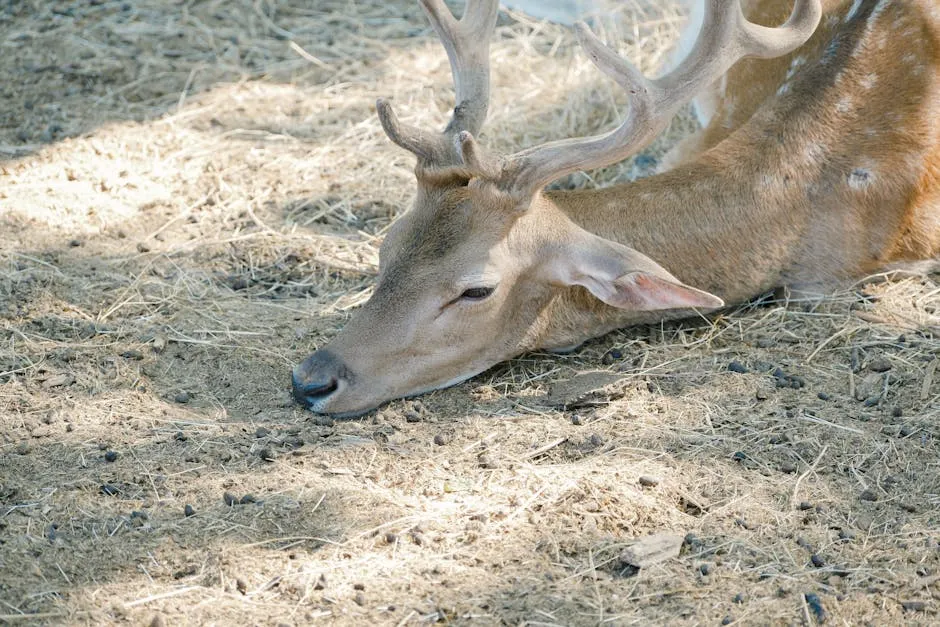 Keep Pets Contained to Protect Vulnerable Wildlife (Image Credits: Pexels)