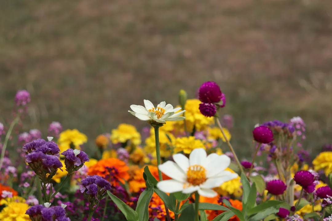 The Scale of the Problem with Traditional Lawns (Image Credits: Unsplash)