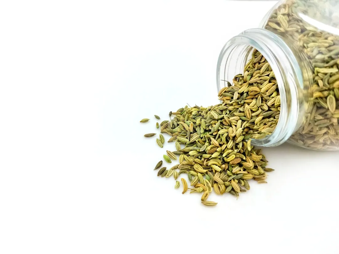 5. Fennel: The Antispasmodic Seed (Image Credits: Unsplash)