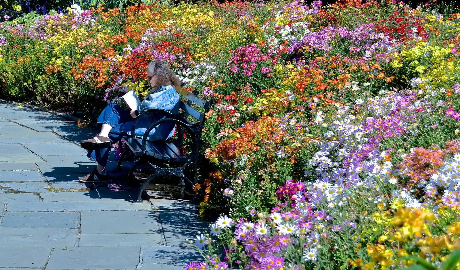 Choosing the Right Plants (By David McSpadden, CC BY 2.0)