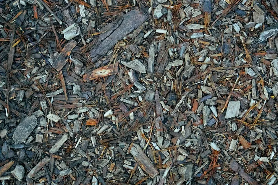 The Compaction and Layering Trap (Image Credits: Pexels)