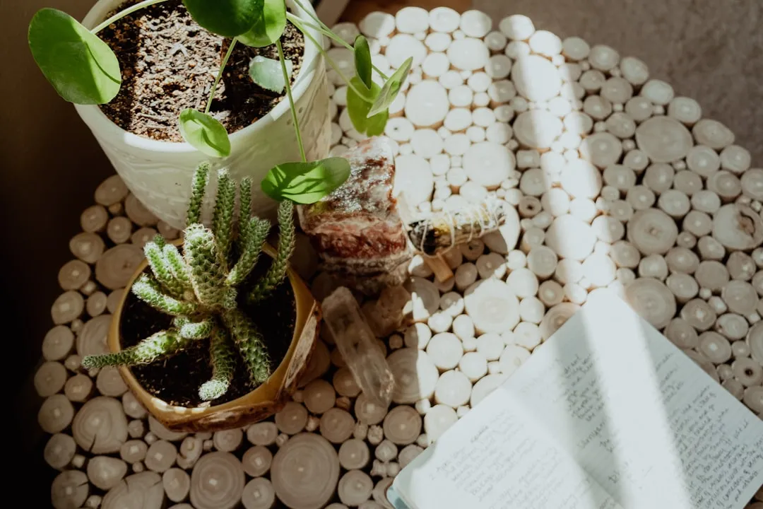 The Landmark Study That Started It All (Image Credits: Unsplash)