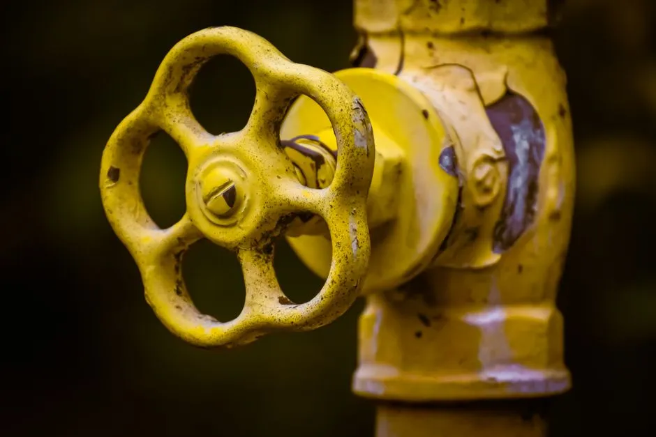 Two Main Valve Types and How to Operate Them (Image Credits: Pexels)