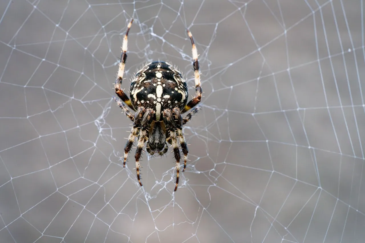 How Physical Barriers Reduce the Need for Chemicals (Image Credits: Pixabay)
