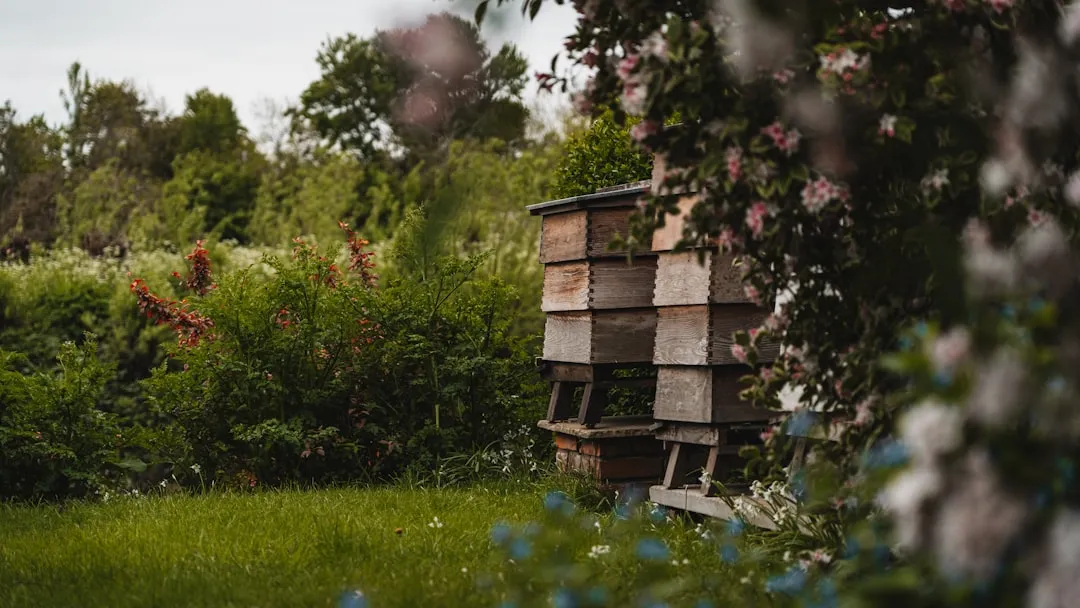 Backyard Beekeepers Are Now the Majority - In Numbers (Image Credits: Unsplash)