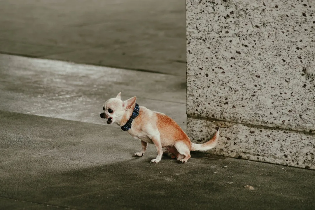 The Scale of the Problem Is Bigger Than You Think (Image Credits: Unsplash)