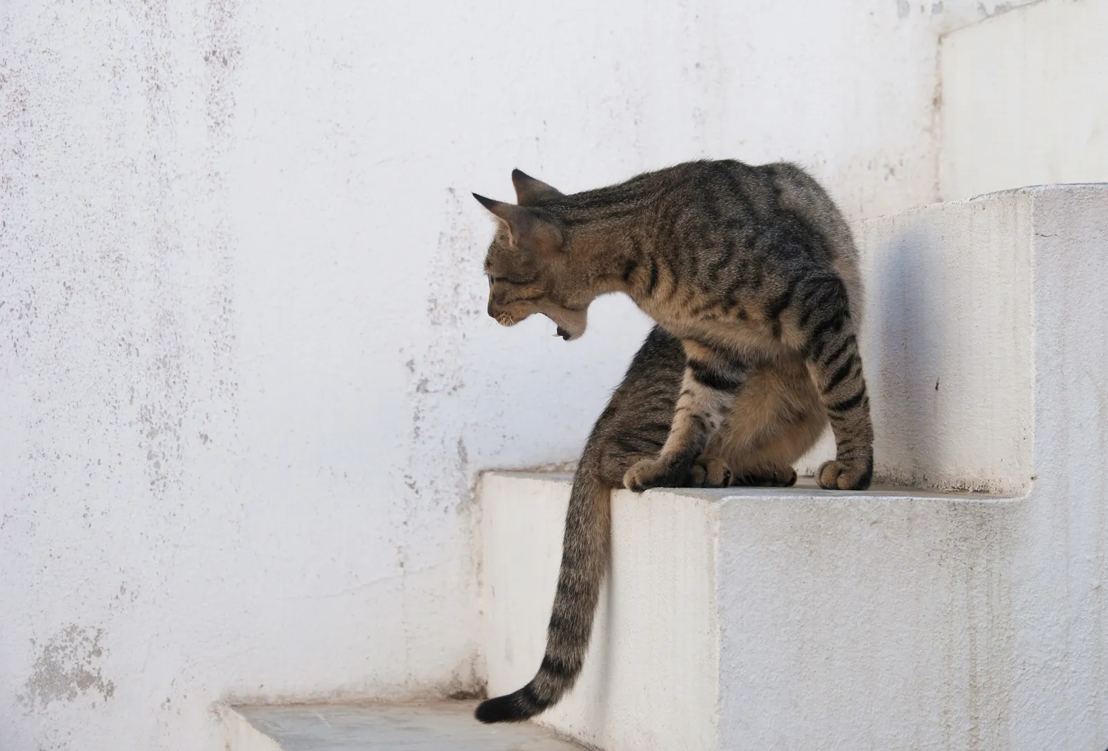 How Quickly and How Severely Can It Happen? (By Alvesgaspar, CC BY-SA 3.0)