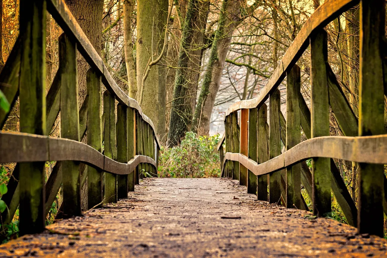 The Numbers Today: A Network That Keeps Growing (Image Credits: Pixabay)
