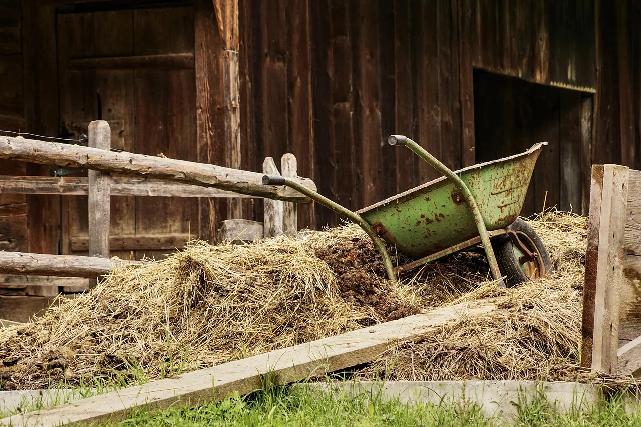 The Design That Started It All: The 1800s Wooden Wheelbarrow (Image Credits: Pixabay)