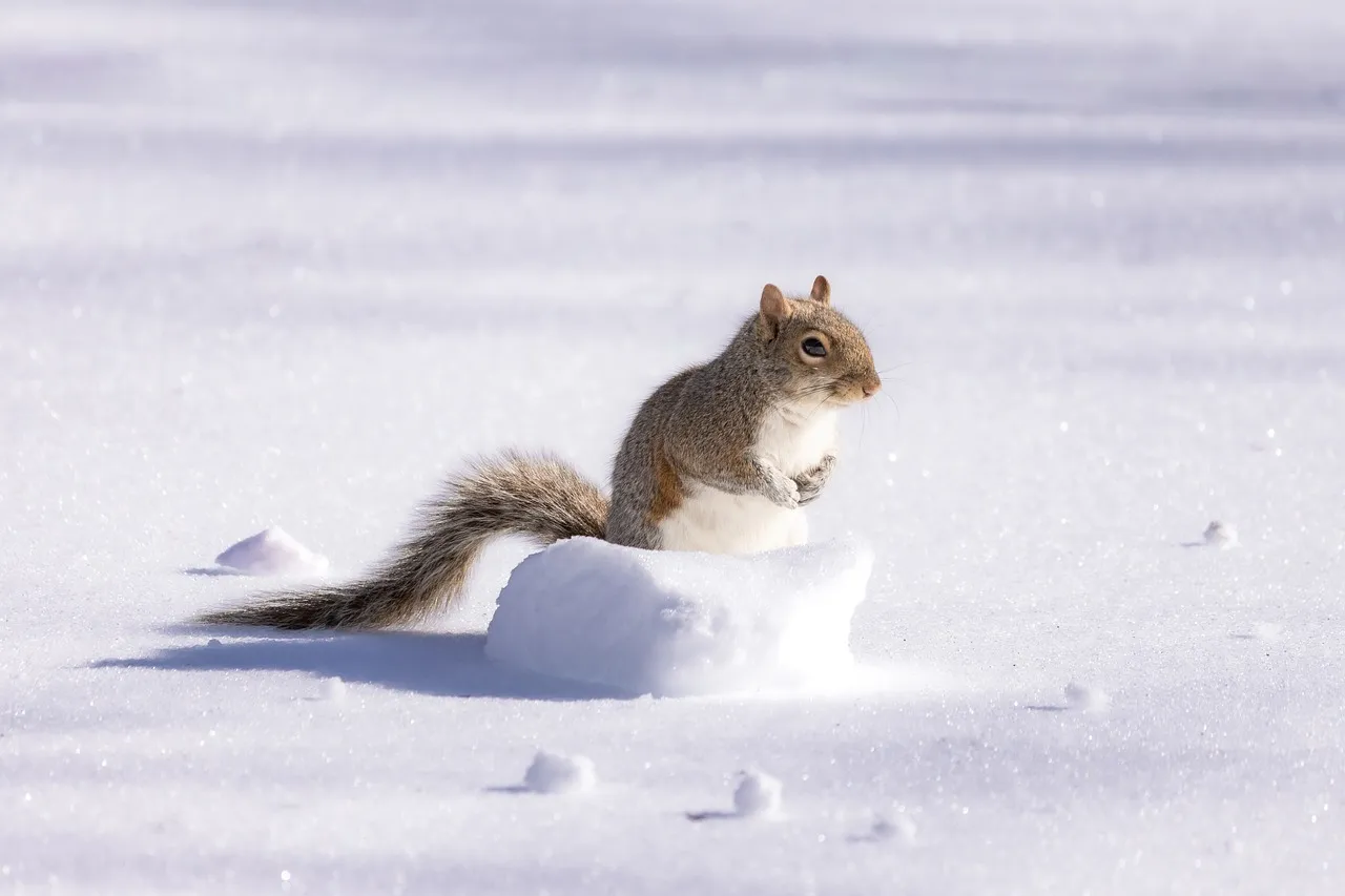 What Happens Inside the Body During a Freeze (Image Credits: Pixabay)