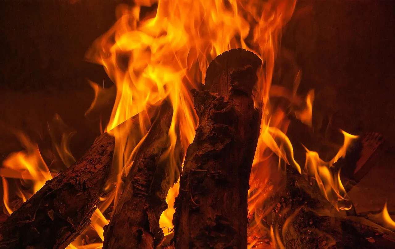 What Percentage of Fires Are Preventable (Image Credits: Pixabay)