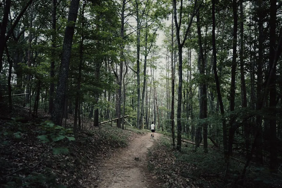 The Trail Today: Living History on a Modern Scale (Image Credits: Pexels)