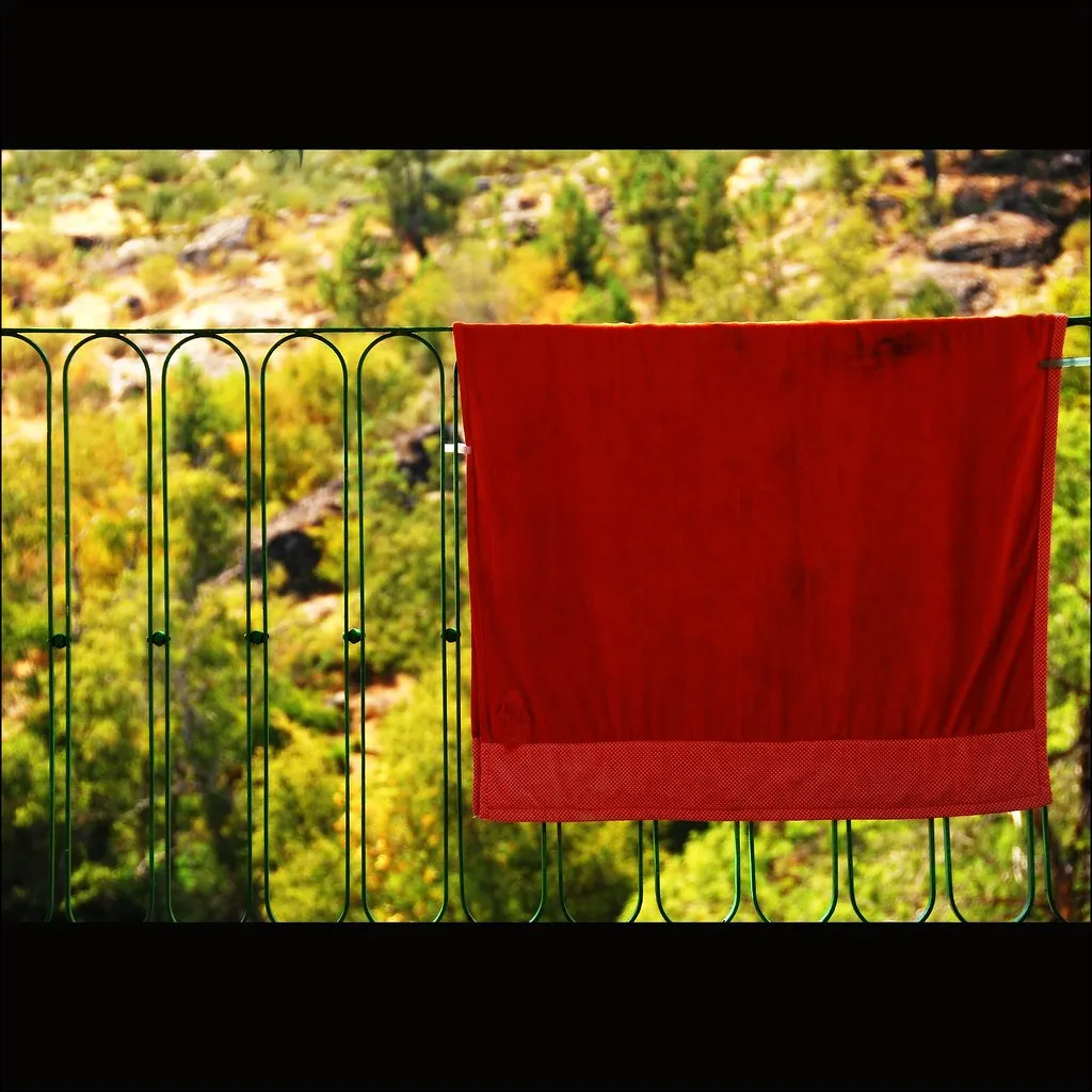 Drying Temperature Matters More Than You Think (Image Credits: Flickr)