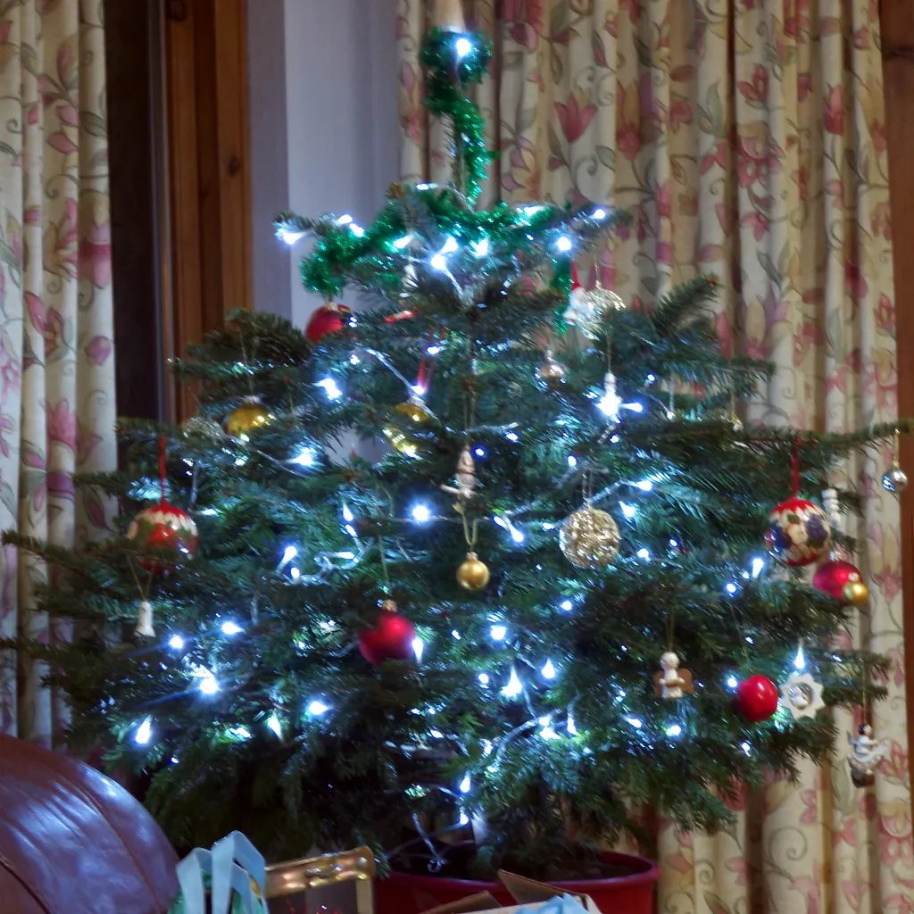 Christmas Lights Cause a Significant Share of Tree Fires (samsaundersbristol, Flickr, CC BY-SA 2.0)