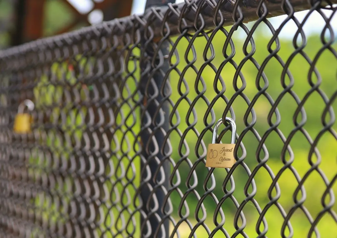A Fence on the Line Belongs to Both of You (Image Credits: Unsplash)