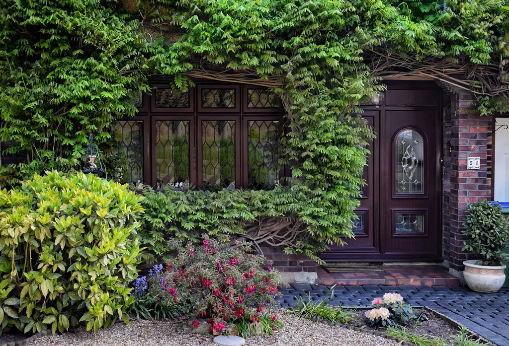 What Comes Next: Cottage Gardens in 2026 and Beyond (Jocelyn777, Flickr, CC BY-SA 2.0)