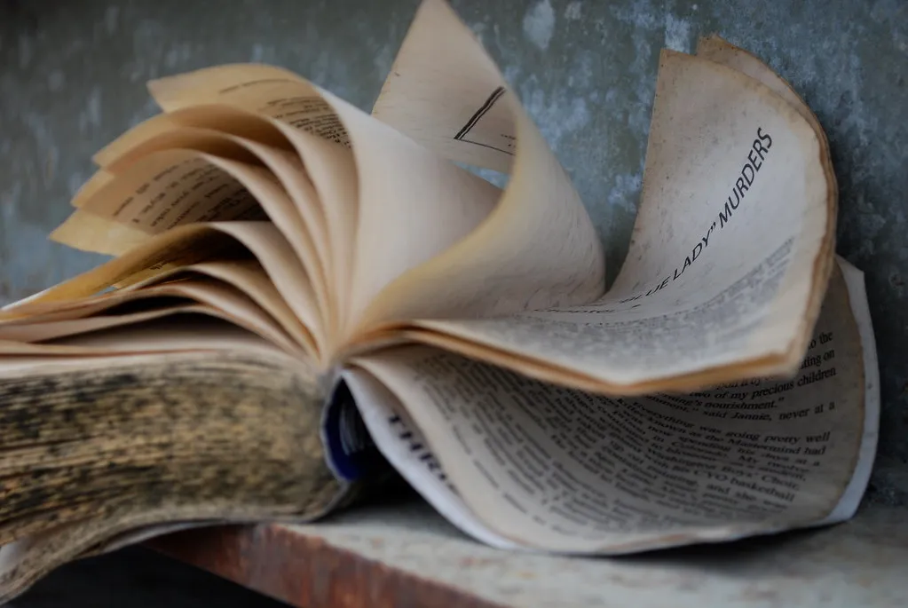 What Genre the Abandoned Book Belongs To Often Matters (runzwthscissors28, Flickr, CC BY 2.0)