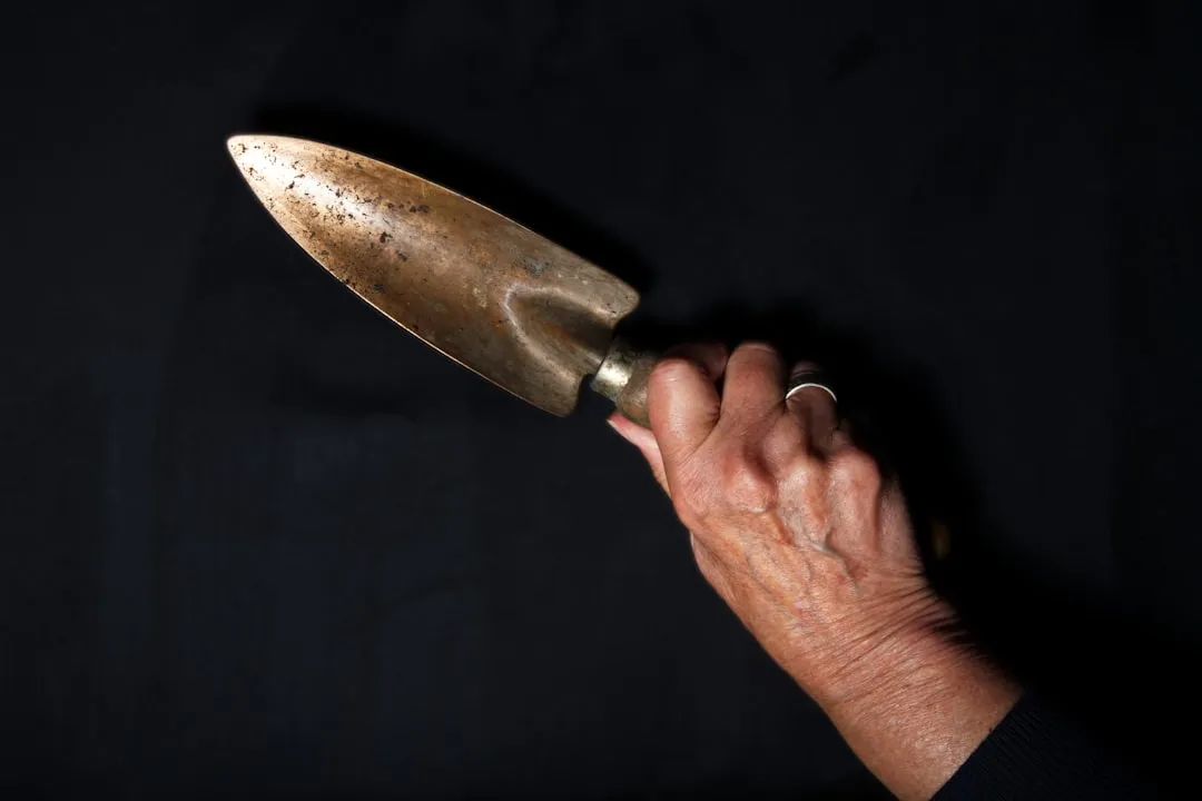 The Trowel as a Category Worth Knowing (Image Credits: Unsplash)