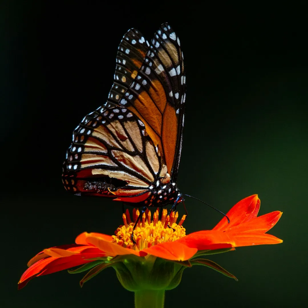 The Right Timing Matters as Much as the Right Plant (Image Credits: Unsplash)
