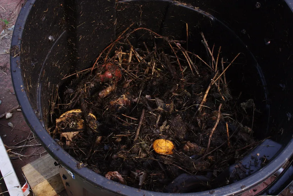 The Decade That Put Composting in the Home (eggrole, Flickr, CC BY 2.0)
