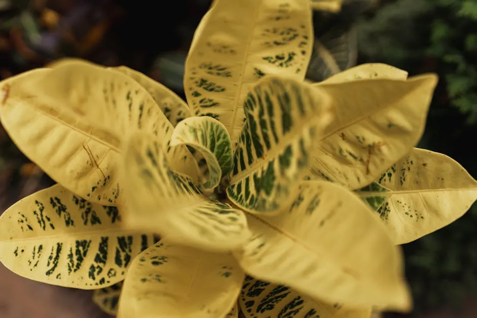 When Yellow Leaves Are Perfectly Normal (Image Credits: Pexels)