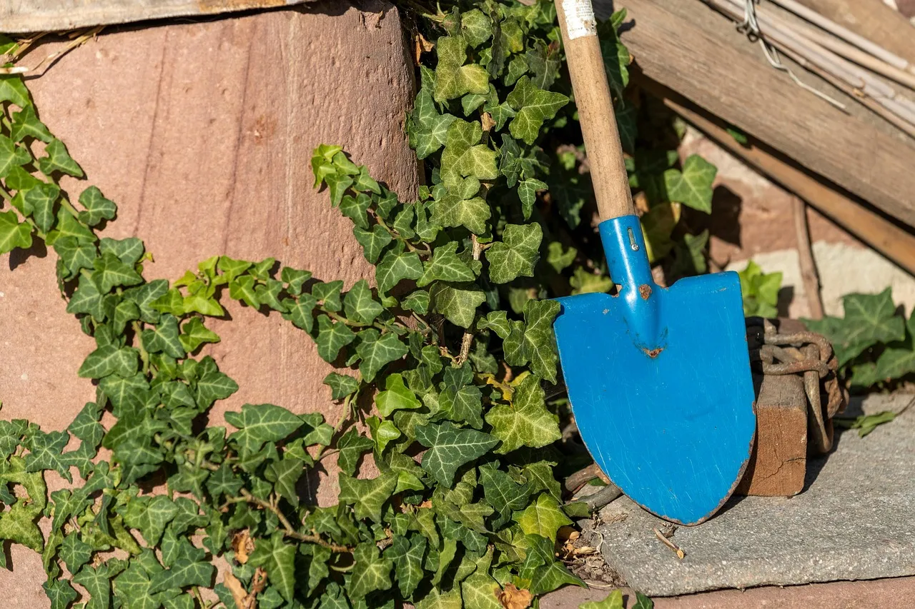 3. A Quality Garden Spade: The Backbone of Any Serious Garden (Image Credits: Pixabay)