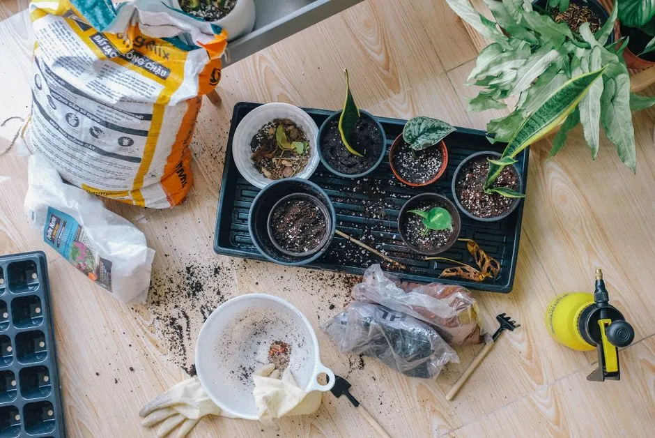 You Value Sustainability Over Convenience (Image Credits: Pexels)