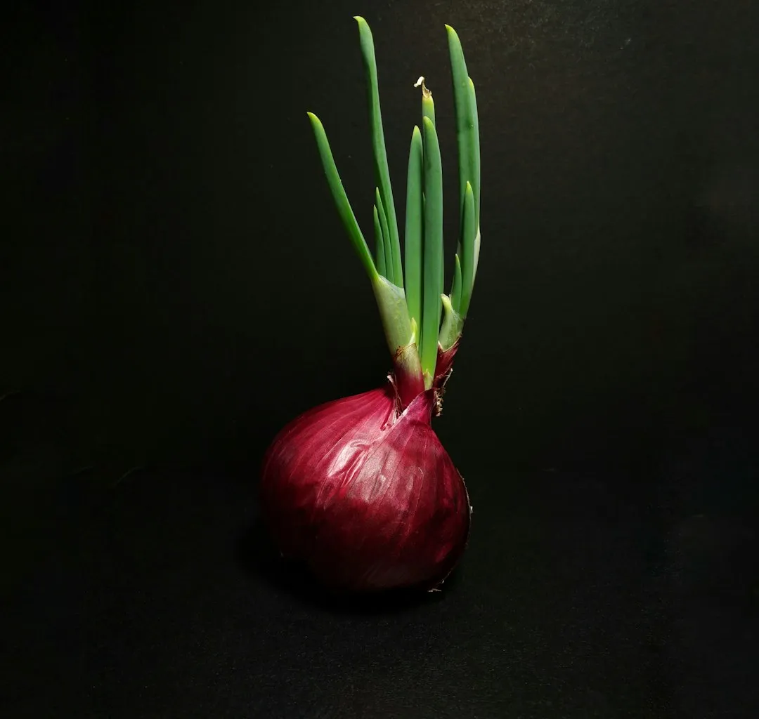 Onions Need a Head Start Like Almost No Other Vegetable (Image Credits: Unsplash)