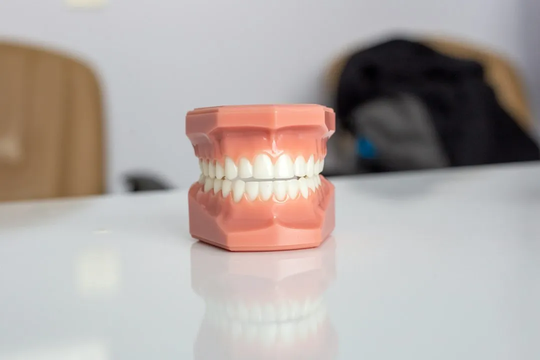 Dental Problems and Oral Health (Image Credits: Unsplash)
