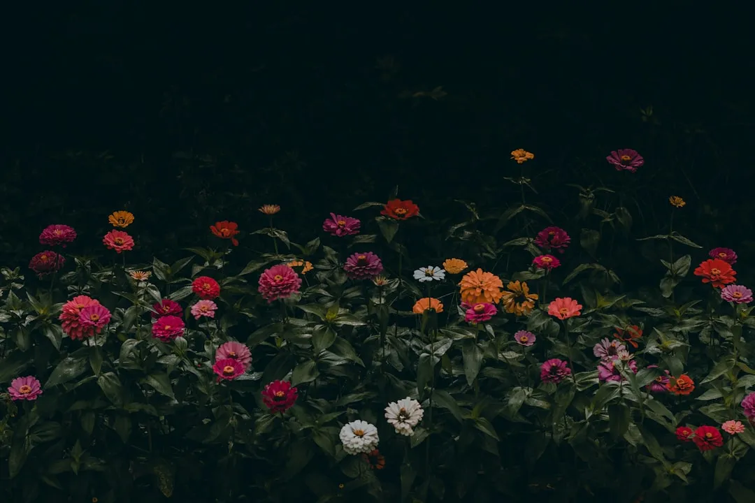 The Pale Flower Strategy (Image Credits: Unsplash)