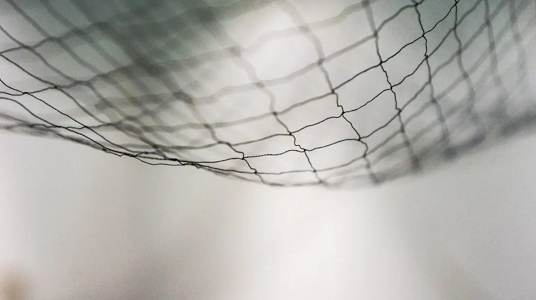 What Tulle Actually Is and Why It Works in a Garden (Image Credits: Unsplash)