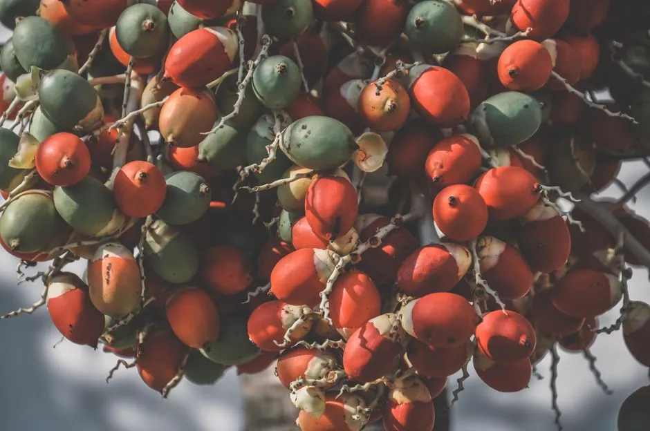 Ethylene: The Invisible Aging Gas (Image Credits: Pexels)