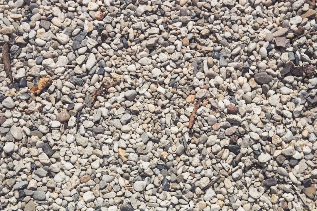 Myth 1: Gravel at the Bottom of Pots Improves Drainage (Image Credits: Unsplash)