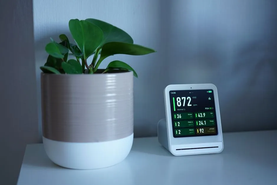 Indoor Air Quality: The Risk Inside Your Own Home (Image Credits: Pexels)