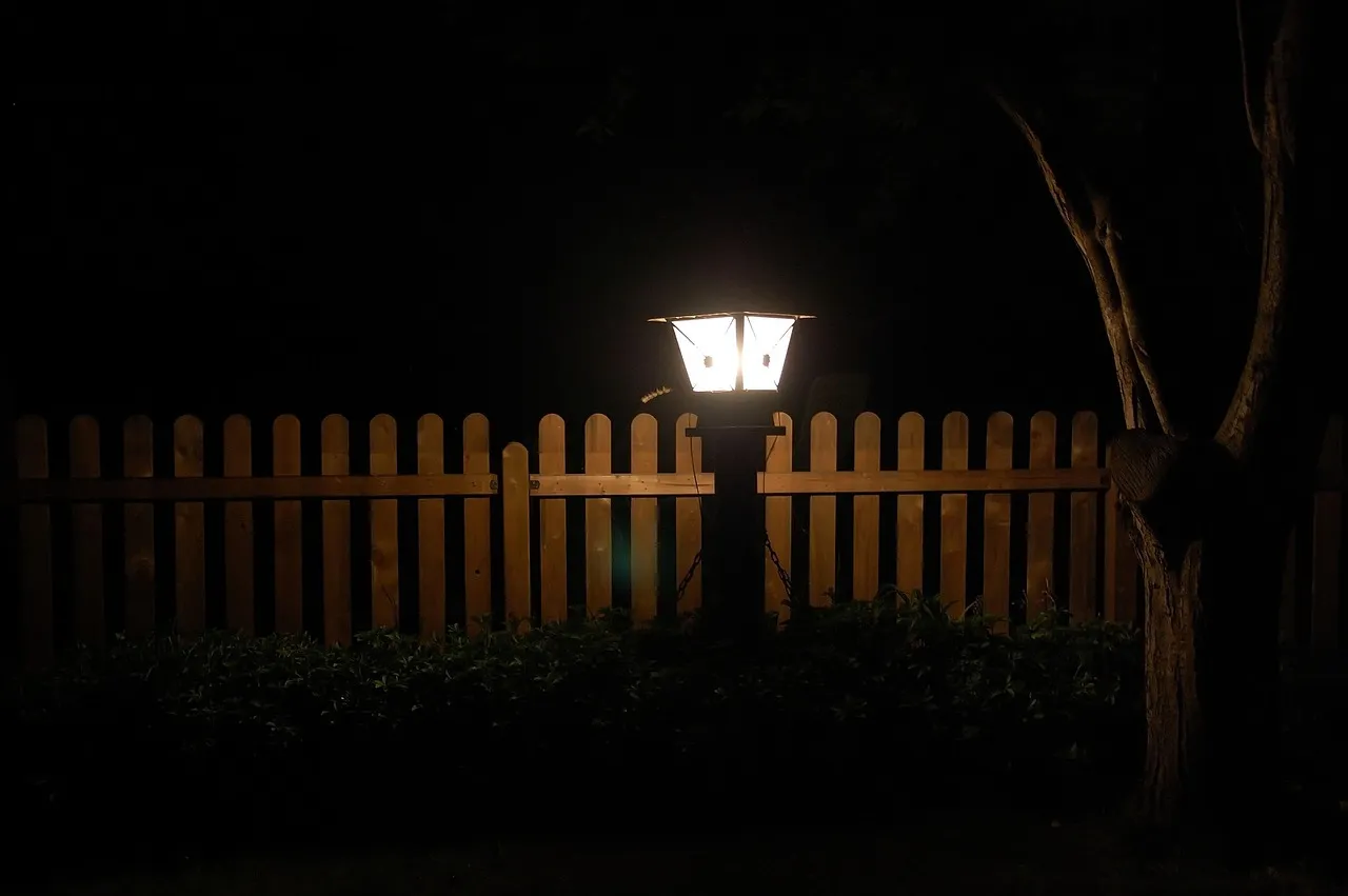 Artificial Light Is Adding to the Problem (Image Credits: Pixabay)