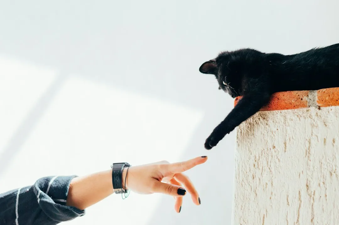 The Role of the Nervous System (Image Credits: Unsplash)