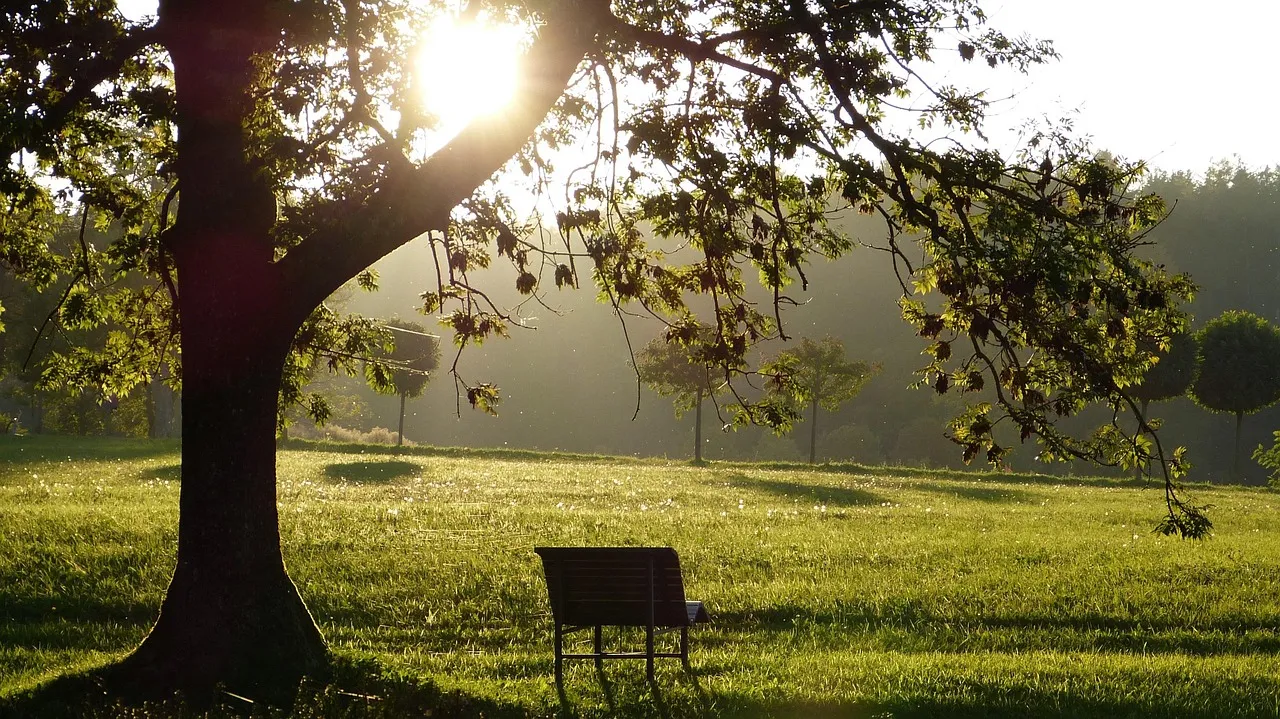 Grief and Loss Change the Emotional Landscape (Image Credits: Pixabay)