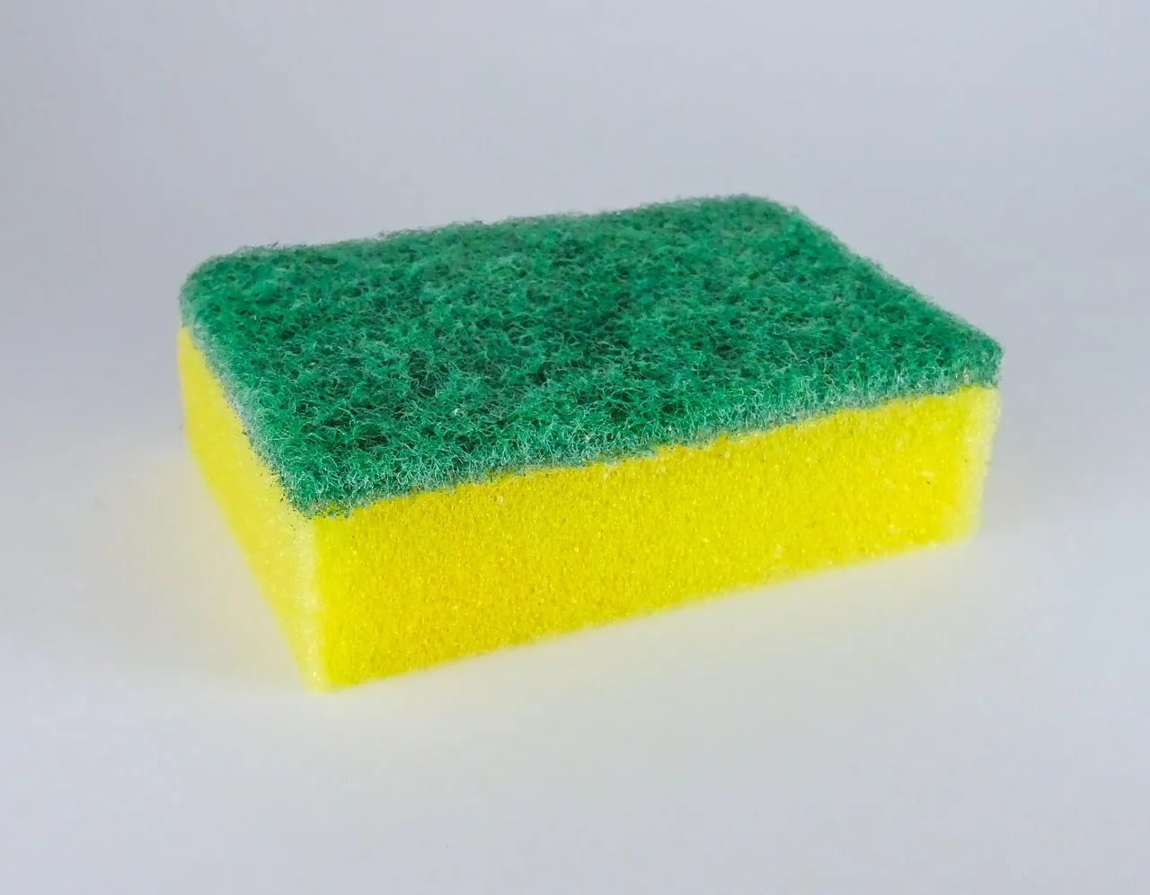 How the Sponge Spreads Contamination Around the Kitchen (Image Credits: Pixabay)
