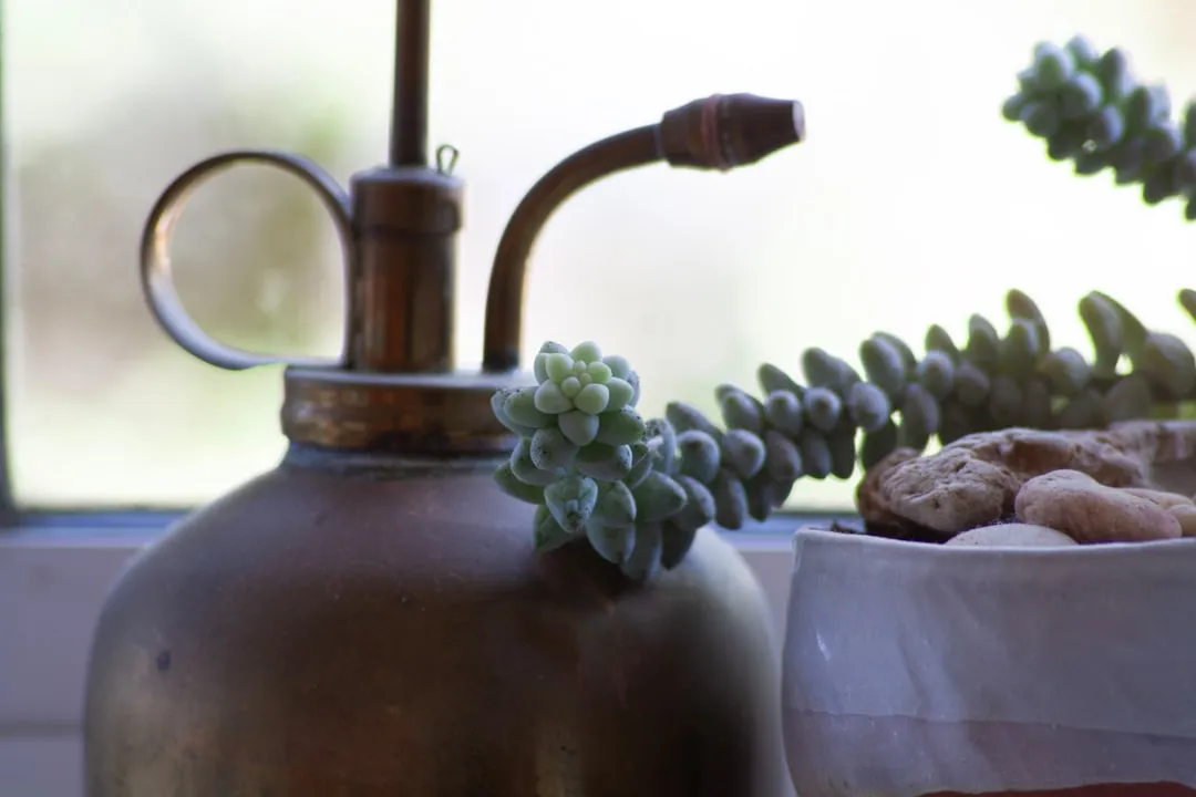 The Difference Between Decorative Value and Tool Value (Image Credits: Unsplash)