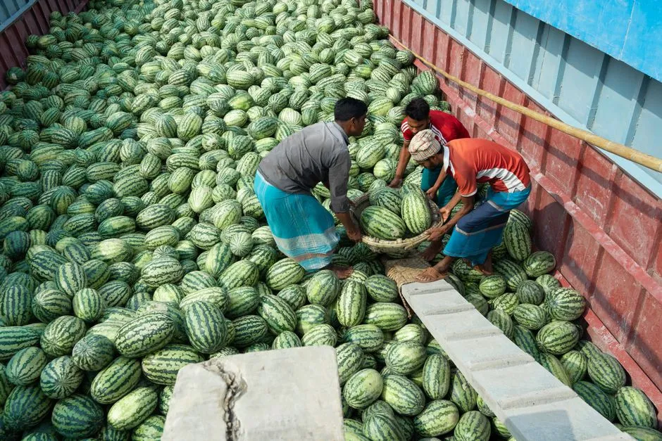 9. Know That Watermelons Never "Slip" Like Cantaloupe (Image Credits: Pexels)