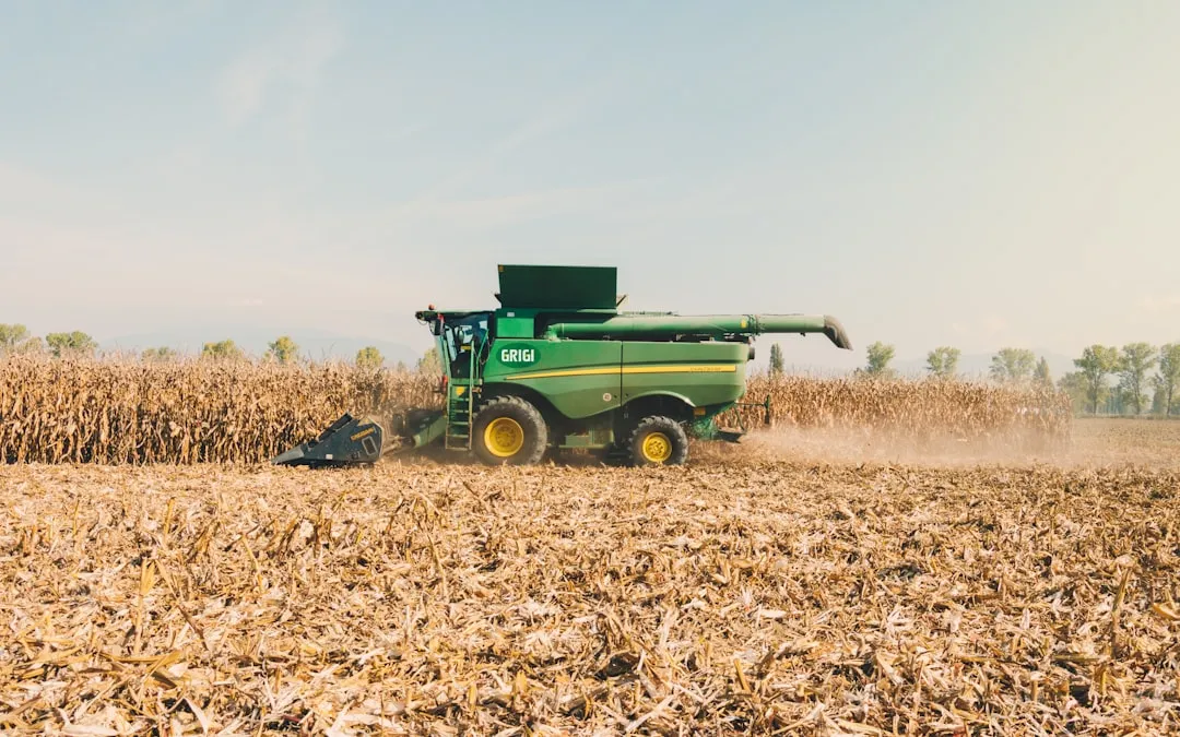 Know the Difference Between Dry-Seed and Wet-Seed Crops (Image Credits: Unsplash)