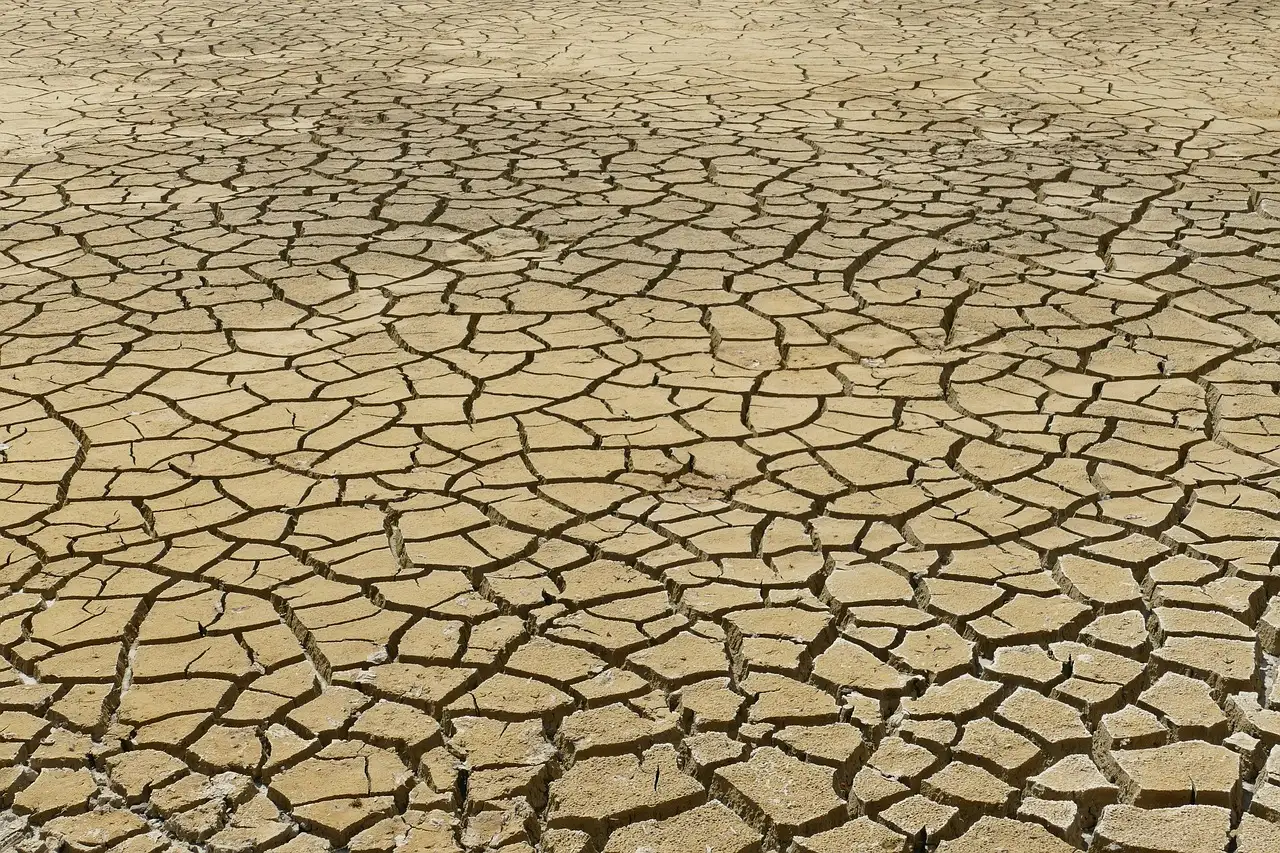 Water, Heat, and Staying Safe in the Desert (Image Credits: Pixabay)